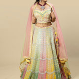 Multi-Colored Embroidered Georgette Blouse and Skirt Set with Pink Net Dupatta