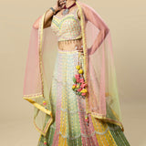 Multi-Colored Embroidered Georgette Blouse and Skirt Set with Pink Net Dupatta