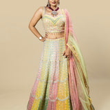 Multi-Colored Embroidered Georgette Blouse and Skirt Set with Pink Net Dupatta