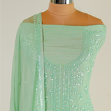 Hand-Embroidered Coral Green Organza Suit with Jaal Pattern